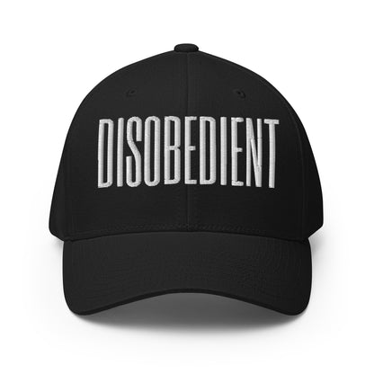 Disobedient