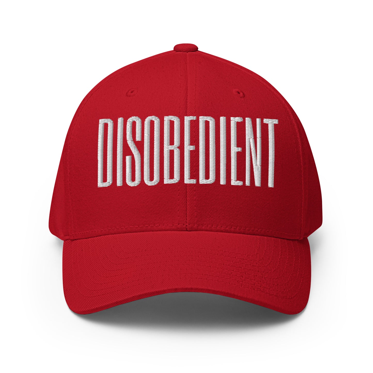 Disobedient