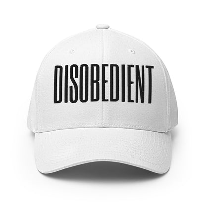 Disobedient Patriotic Second Amendment 2A 2nd Gun Rights USA Constitution Freedom Over Fear Range Rifle Premium Embroidered Flexfit Hat Freedom Over Fear Industries