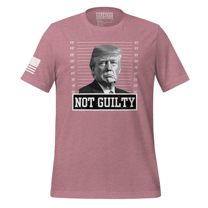 Not Guilty