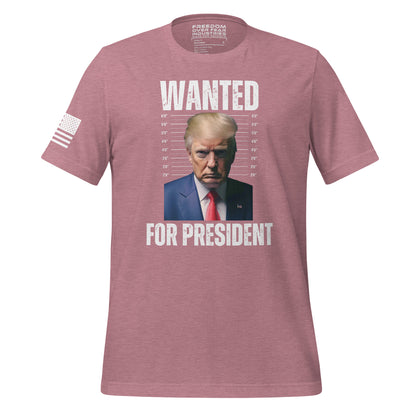 Wanted For President